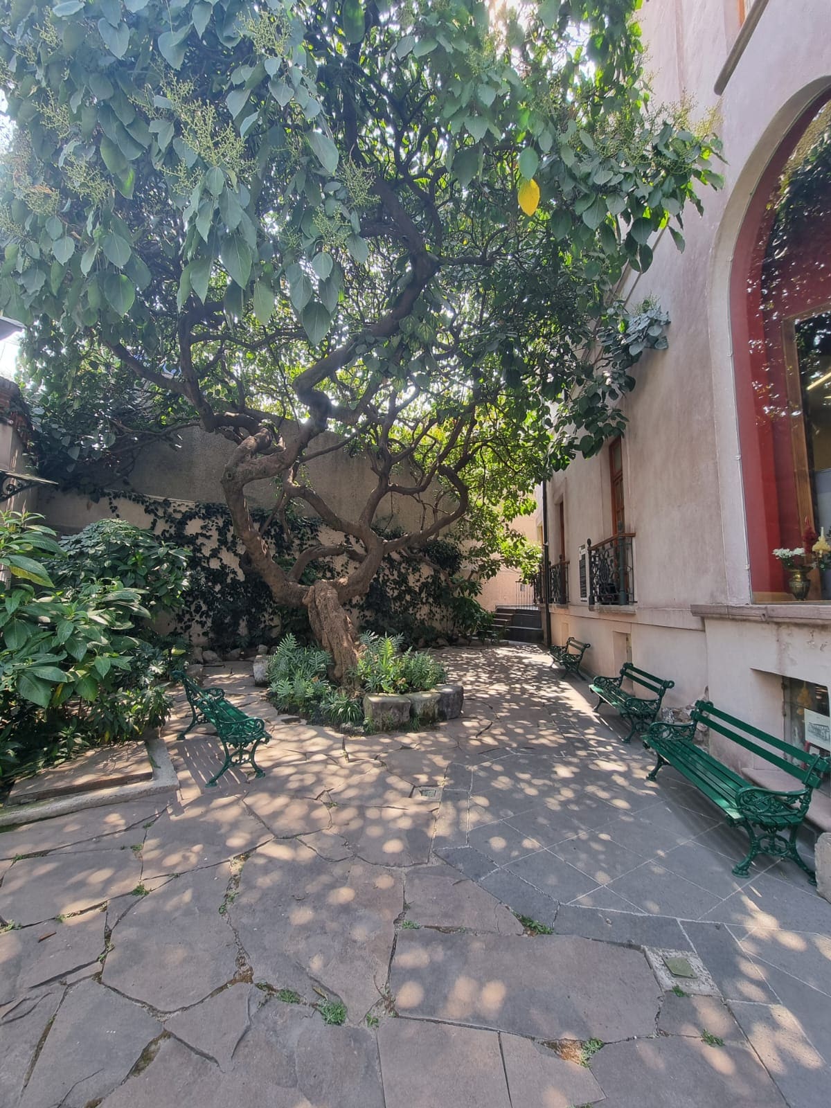 Espacio Casa Rivas Mercado 8